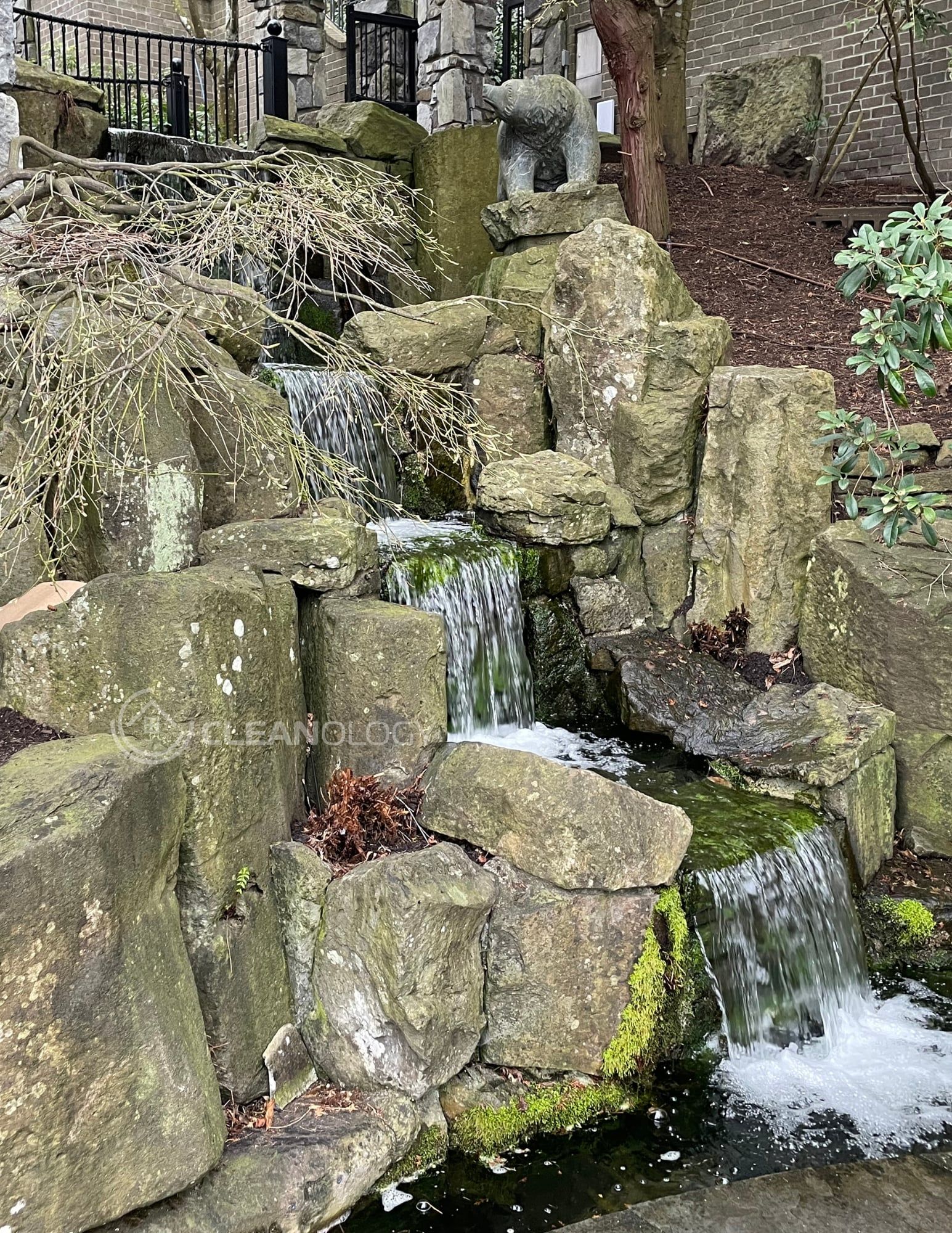 Before Pictures – image 10