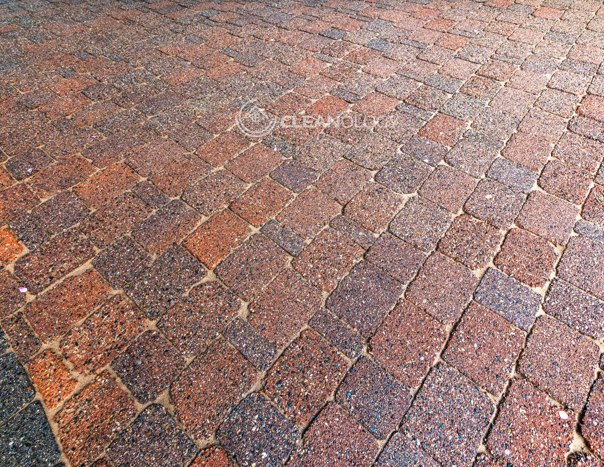 Before - After Pictures – image 24