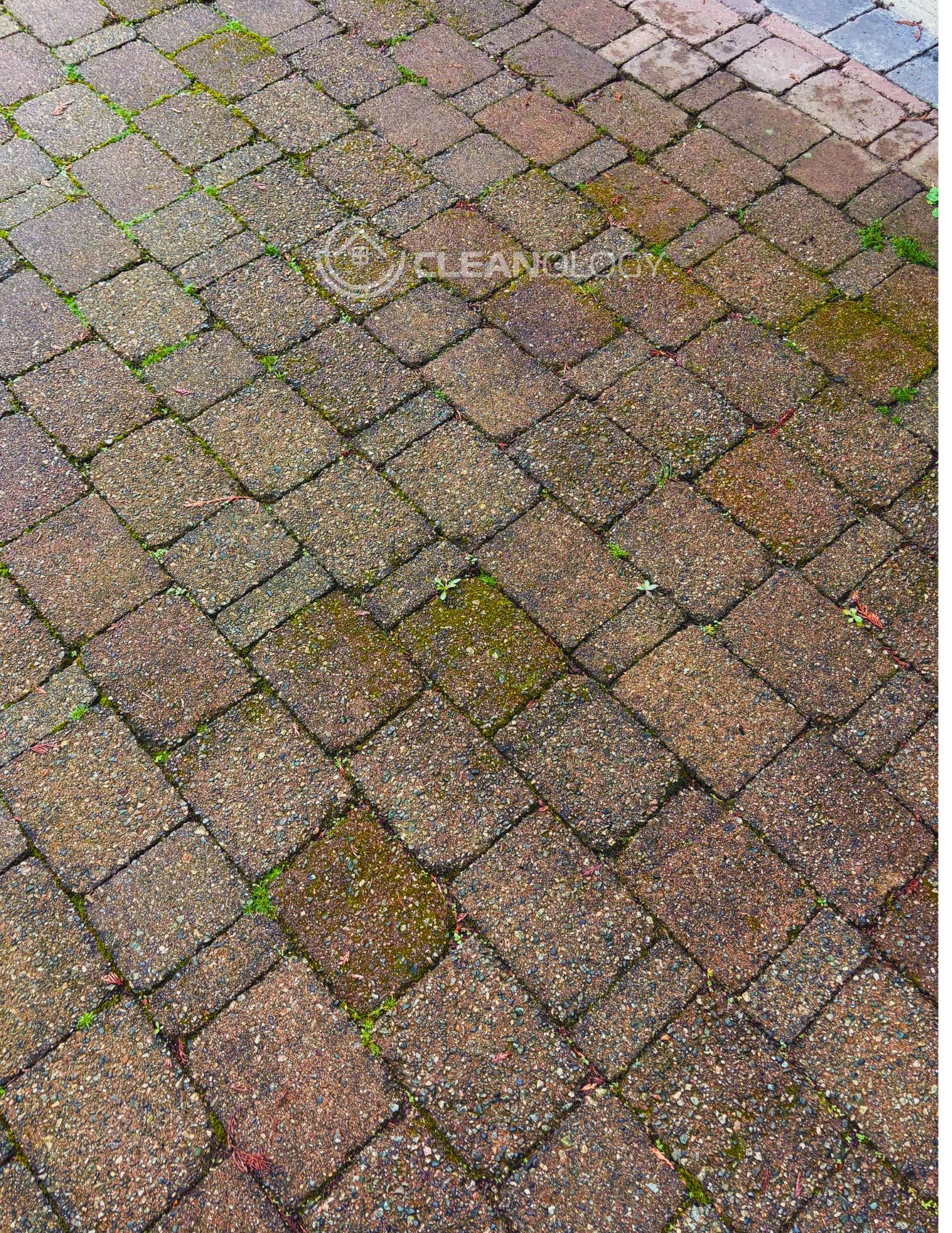 Before - After Pictures – image 23