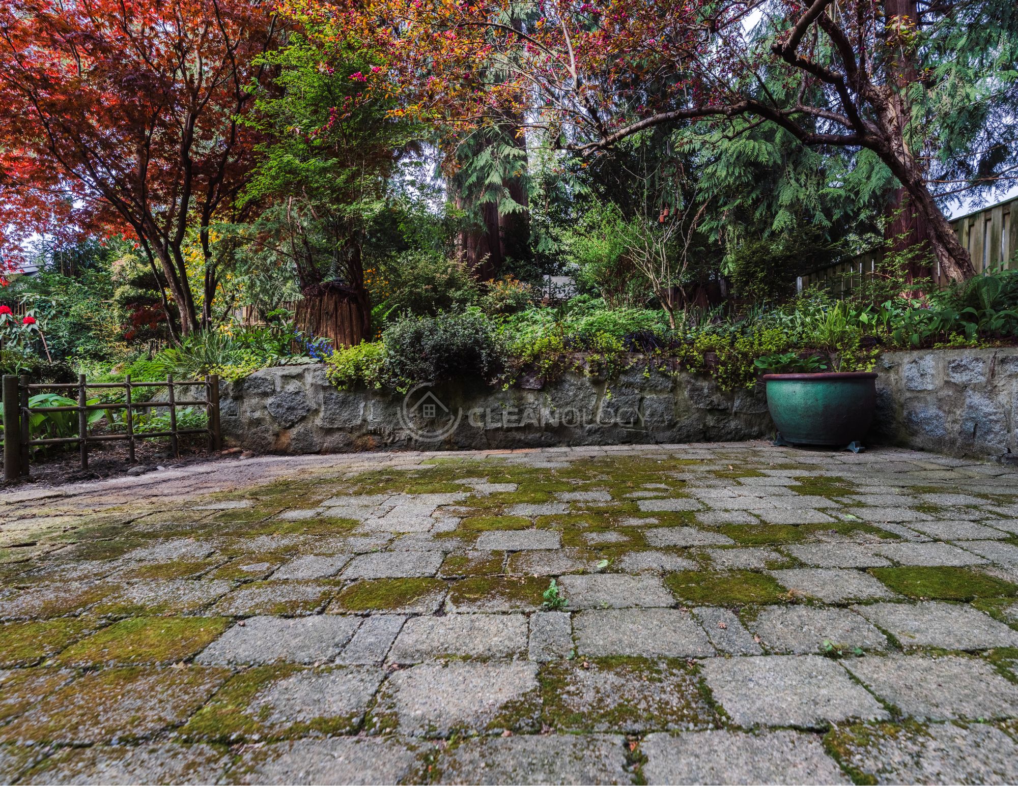 Before - After Pictures – image 11