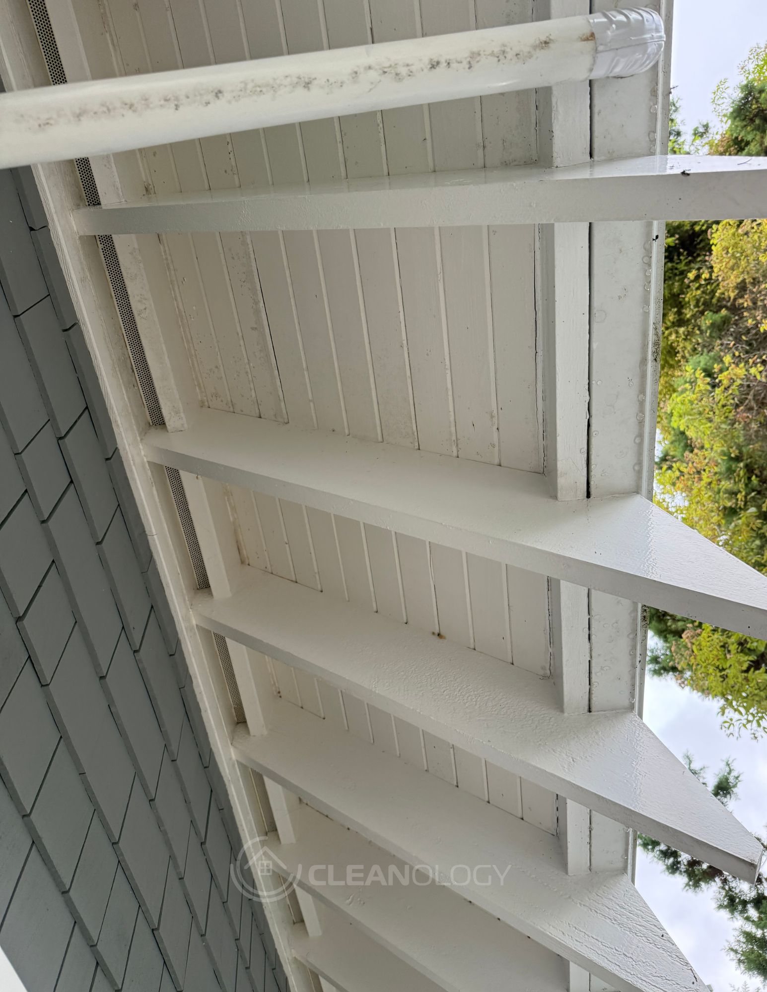 Before-After Pictures – image 15
