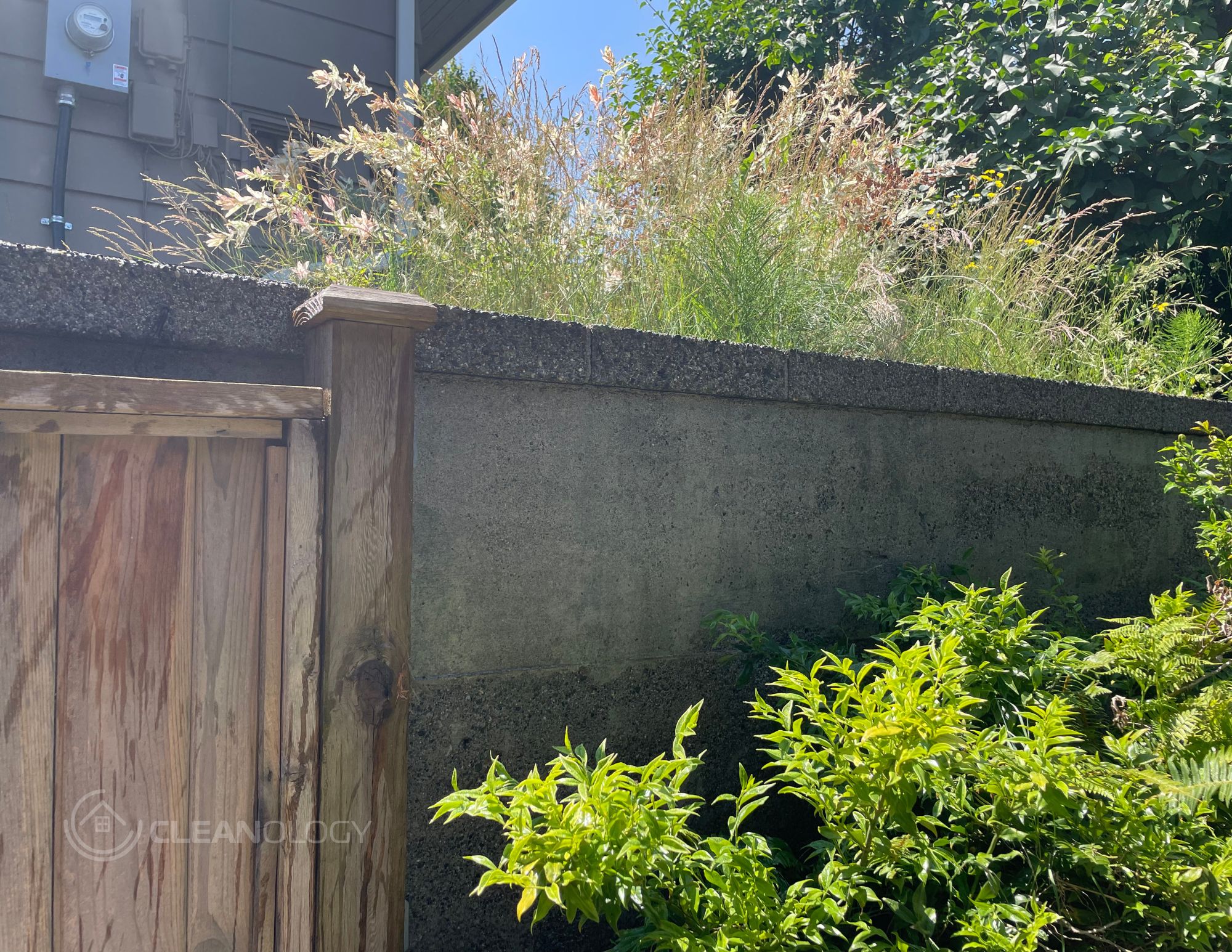 Before Pictures – image 27