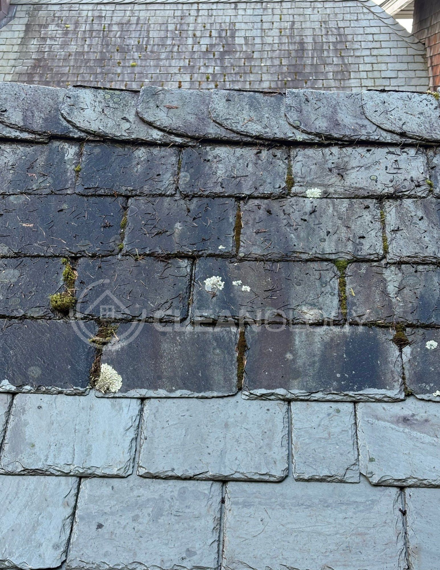 Sample Cleaning – image 7