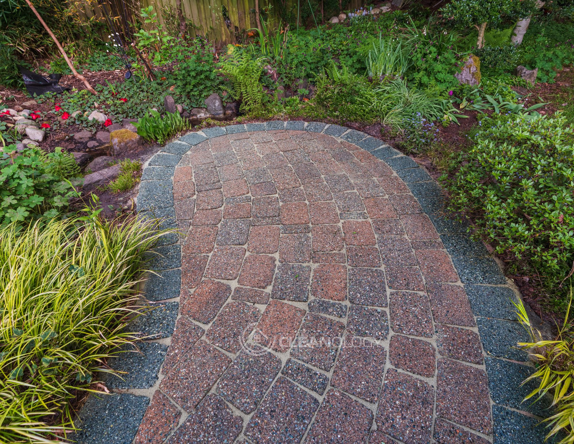 Before - After Pictures – image 16