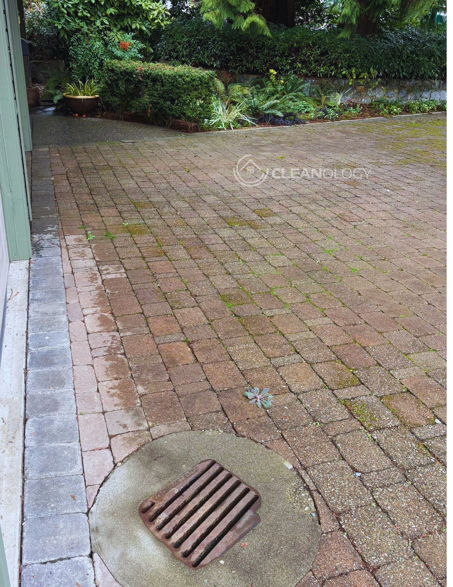 Before - After Pictures – image 21