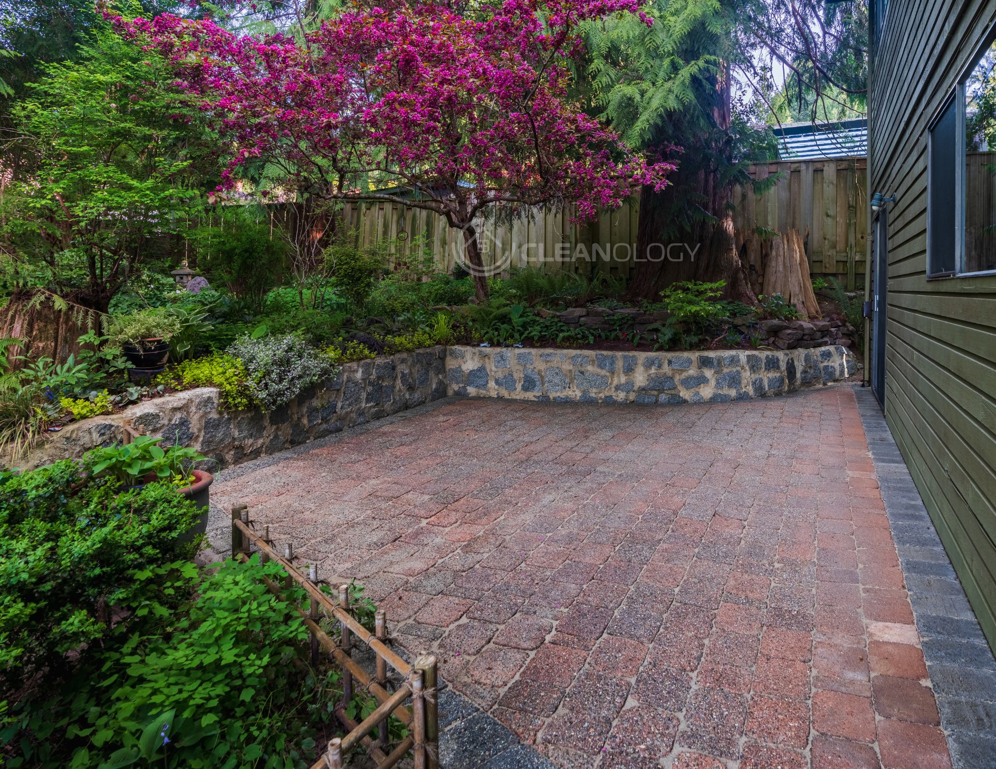 Before - After Pictures – image 10
