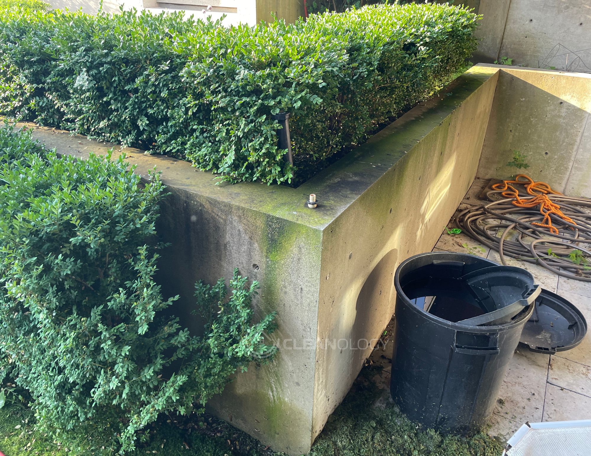Before Pictures – image 30