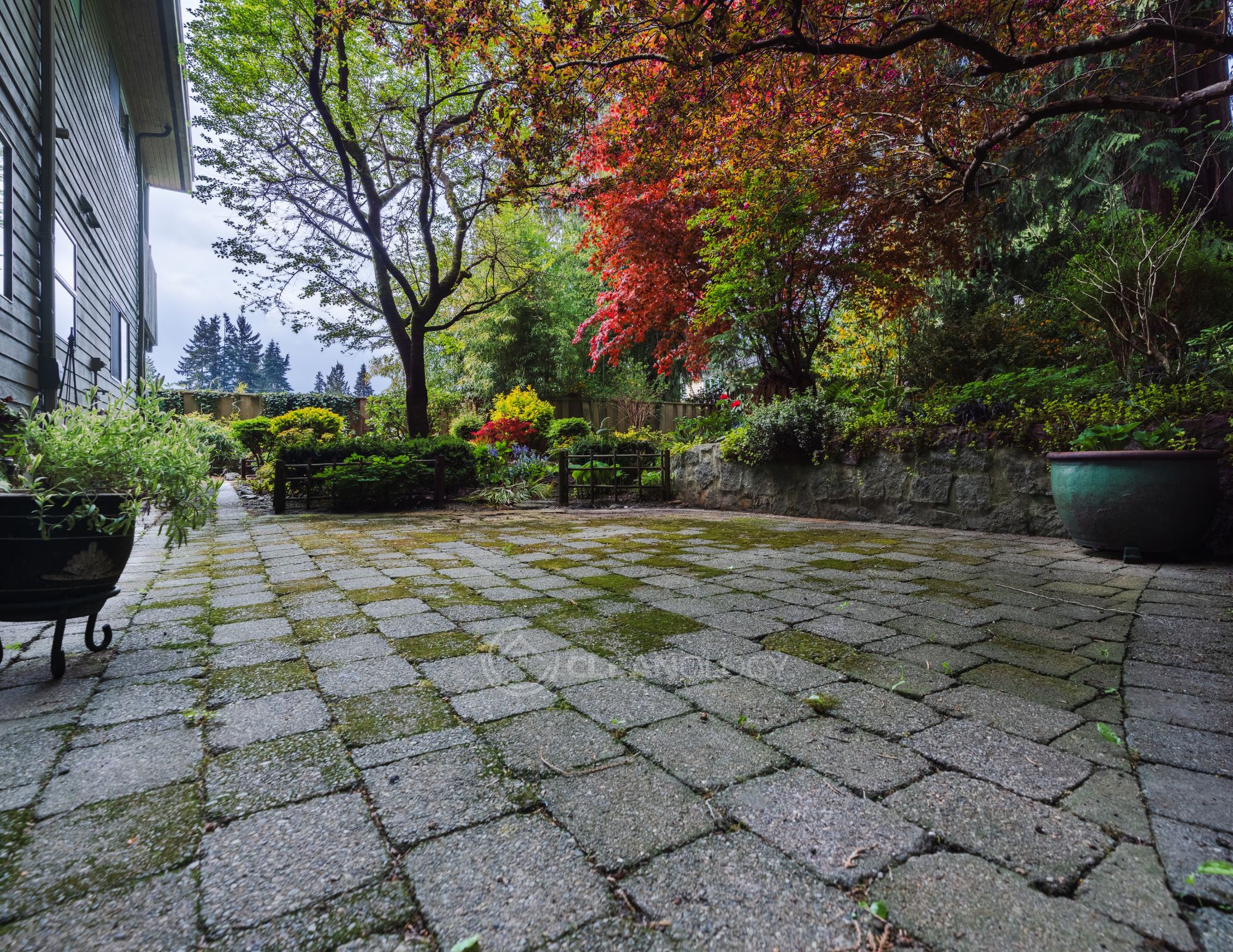 Before - After Pictures – image 3