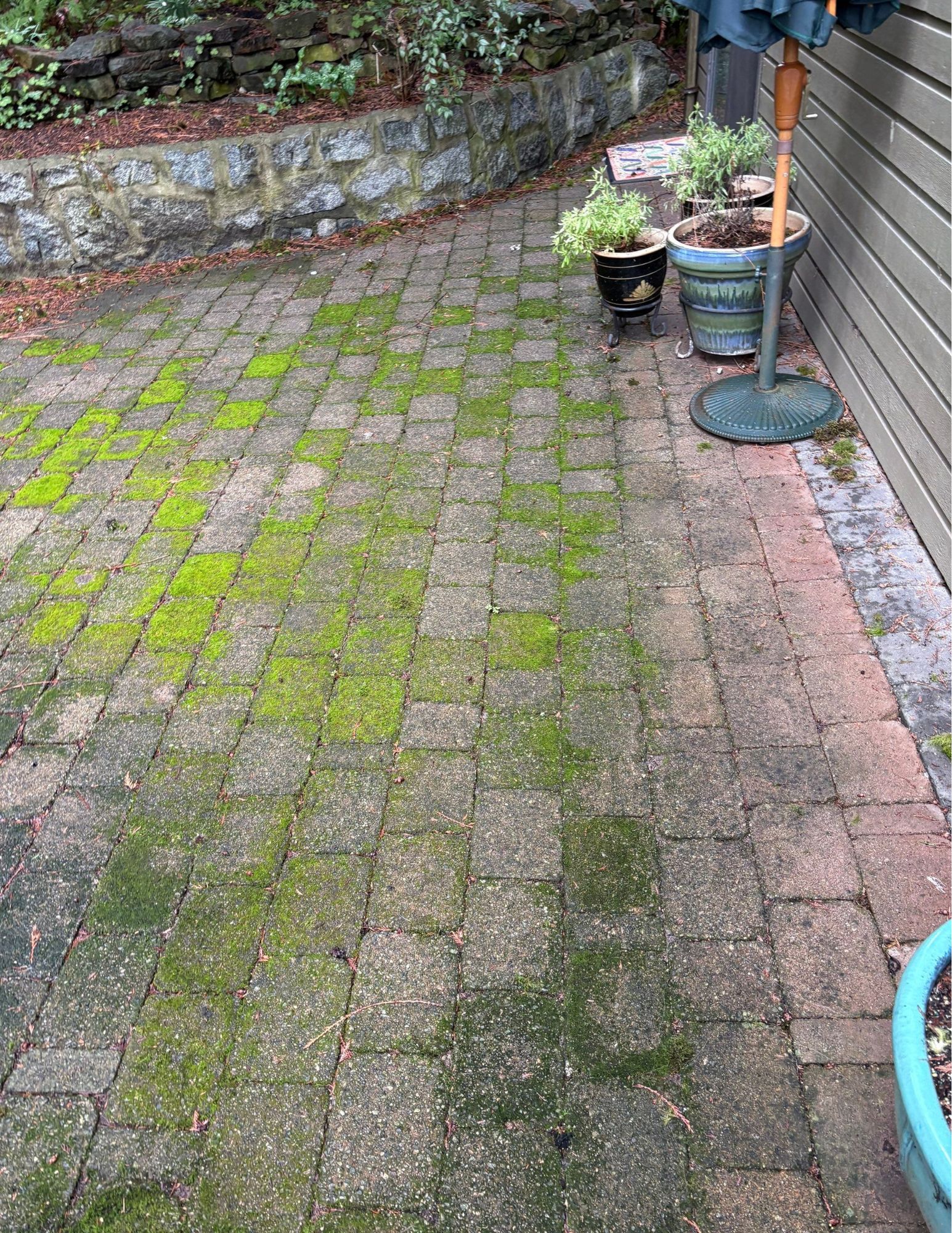 Target the Root Causes of Paver Deterioration