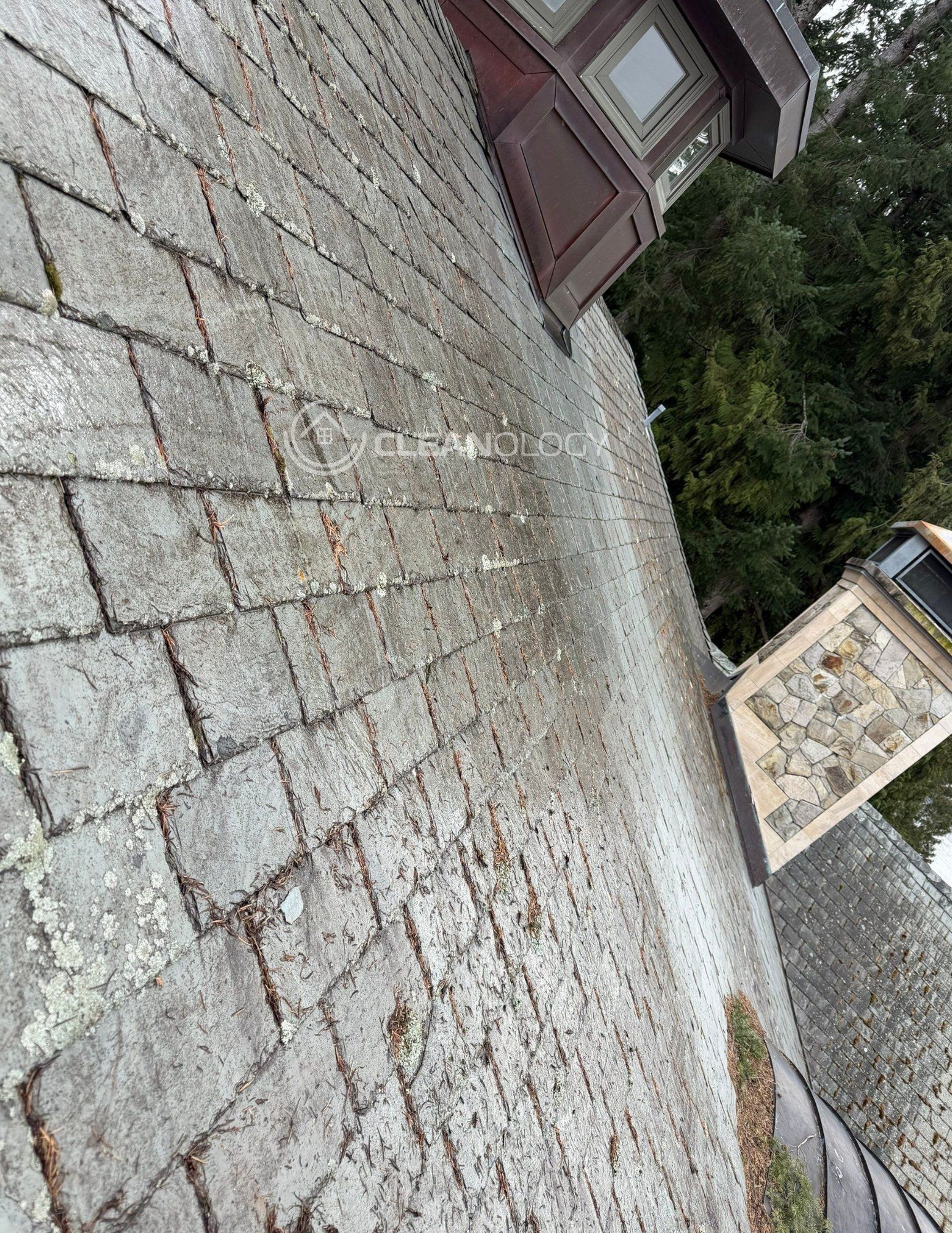 Before – image 18