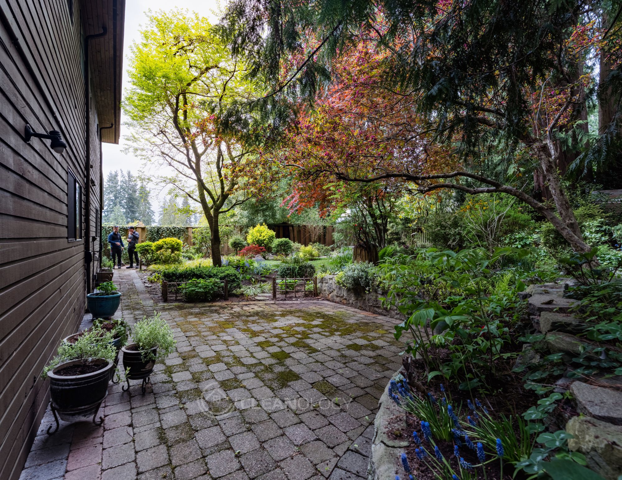 Before - After Pictures – image 1