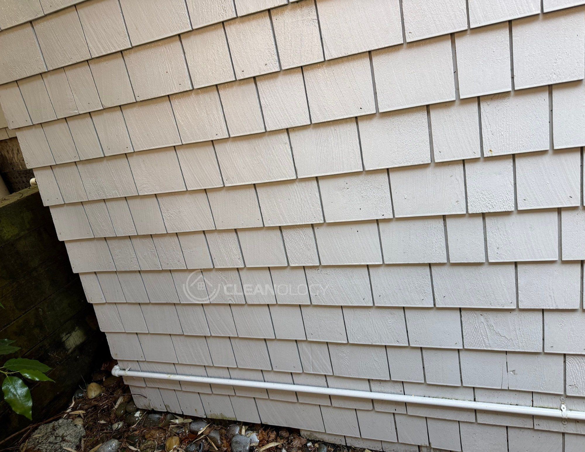 Before - After Pictures – image 30