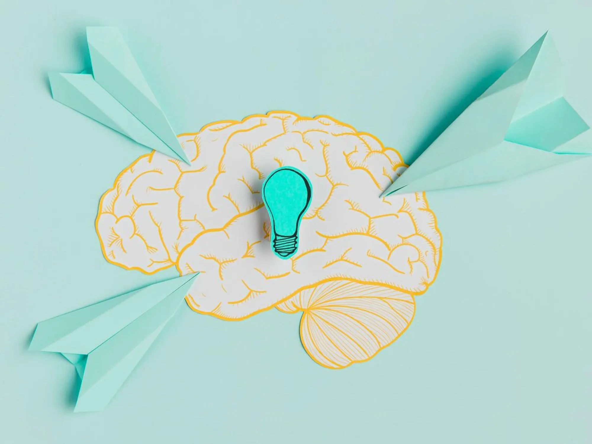 El aporte de la Neuroplasticidad en las personas y las organizaciones
