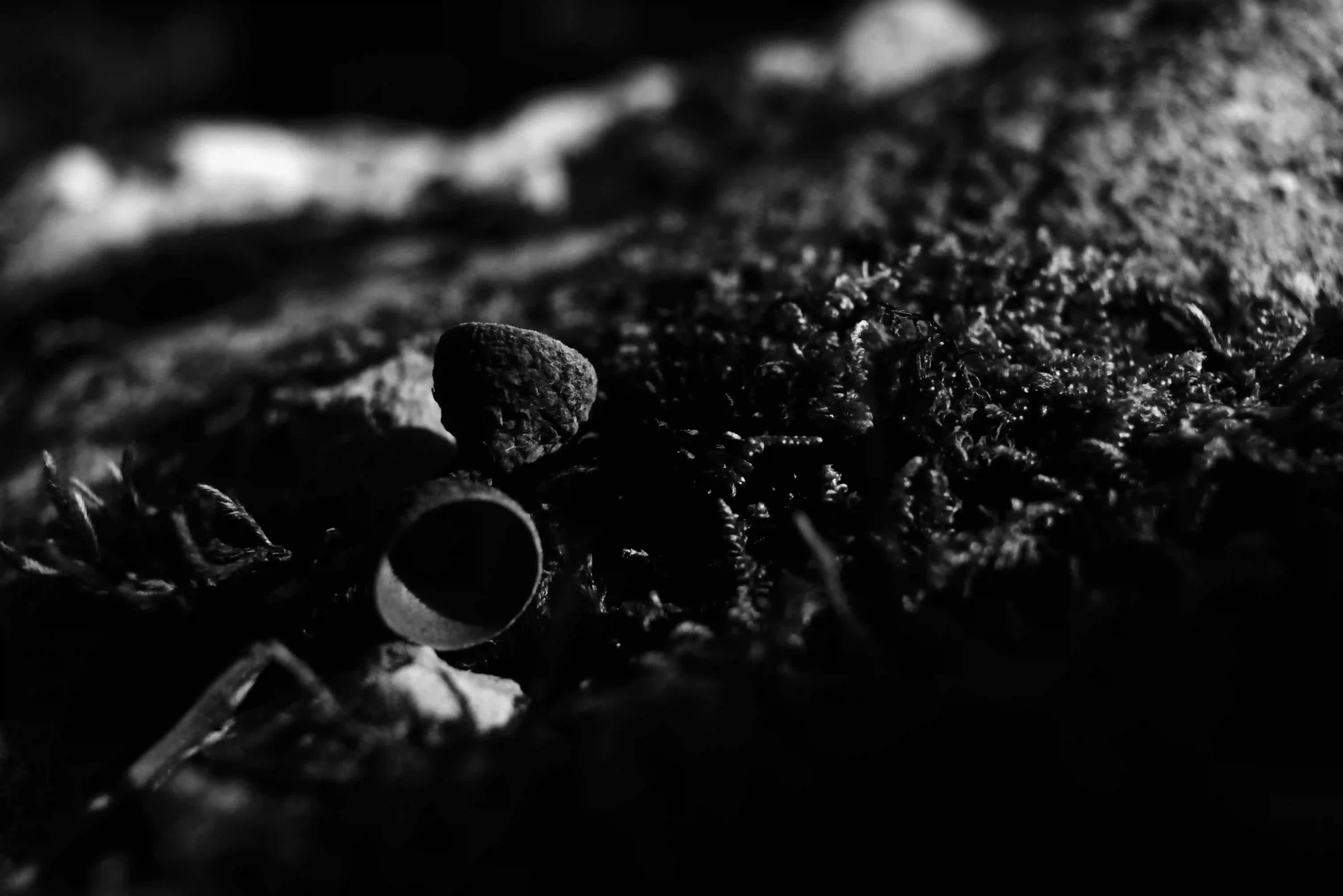 Project