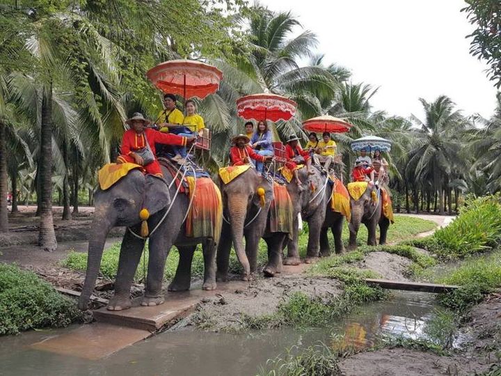 Elephant Ride And Floating Market Tour At Damnoen Saduak 3607 Book Best Price Tour