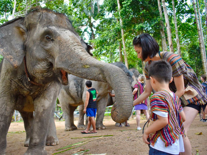 Create memorable time with your family @Elephant Jungle Sanctuary Samui