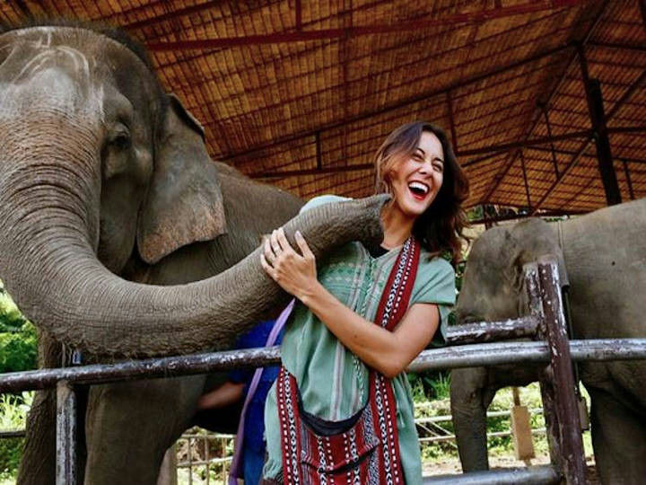 Visit Green Living Foundation, an ethical elephant sanctuary