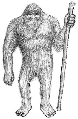 sketch of a forest giant