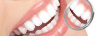 Meiser Dental Center