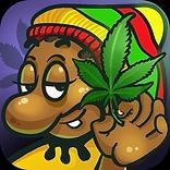 GANJA FARMER DC