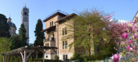 Dr.Rümmelein Center