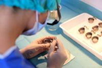 Dr. Bodnar