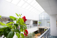 Nordic Medical Center