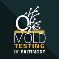 O2 Mold Testing of Baltimore Company Logo by Ben K. Butler BenButler in Baltimore MD