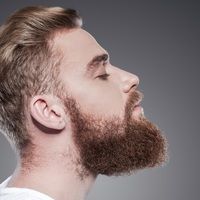 What is Beard Transplant?