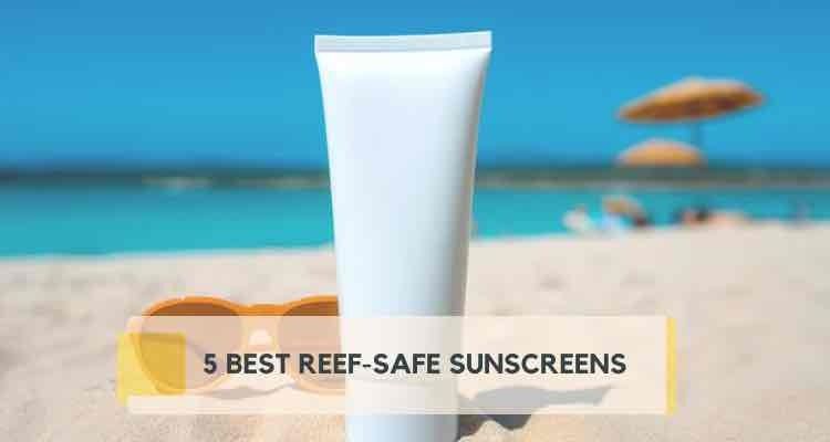 5 Best Reef-Safe Sunscreens: Editor Picks