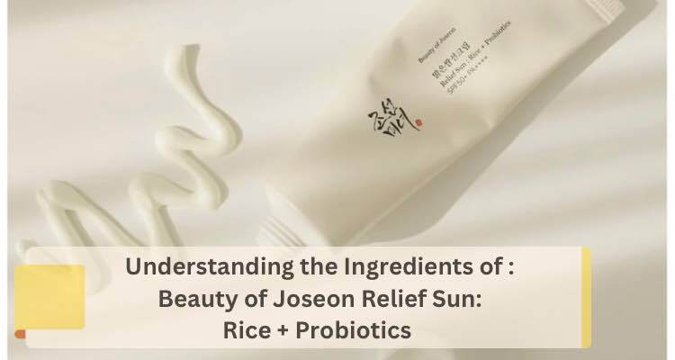 Decoding Ingredients in Beauty of Joseon Sunscreen: Understand What's in Your Bottle