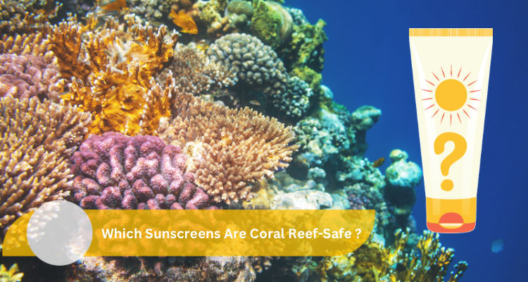 Why Reef-Safe Sunscreen Is Important