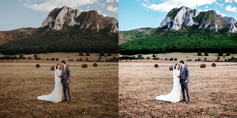 Basic Clipping Path Sample