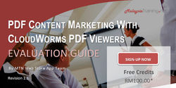 Content Marketing: CloudWorms PDF Viewers' Evaluation Guide