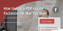 How to post a PDF file on Facebook in an Elegant Way