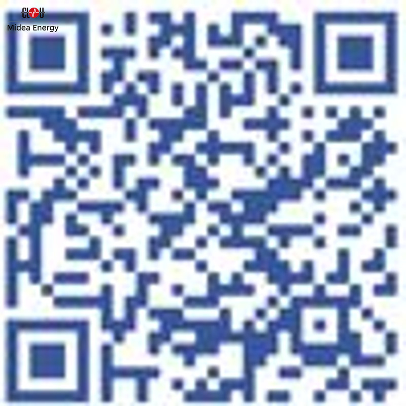 Info System Simulation 100