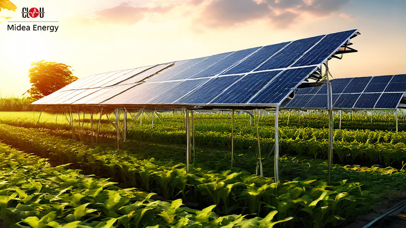 Agrivoltaics: Balancing Renewable Energy and Farming
