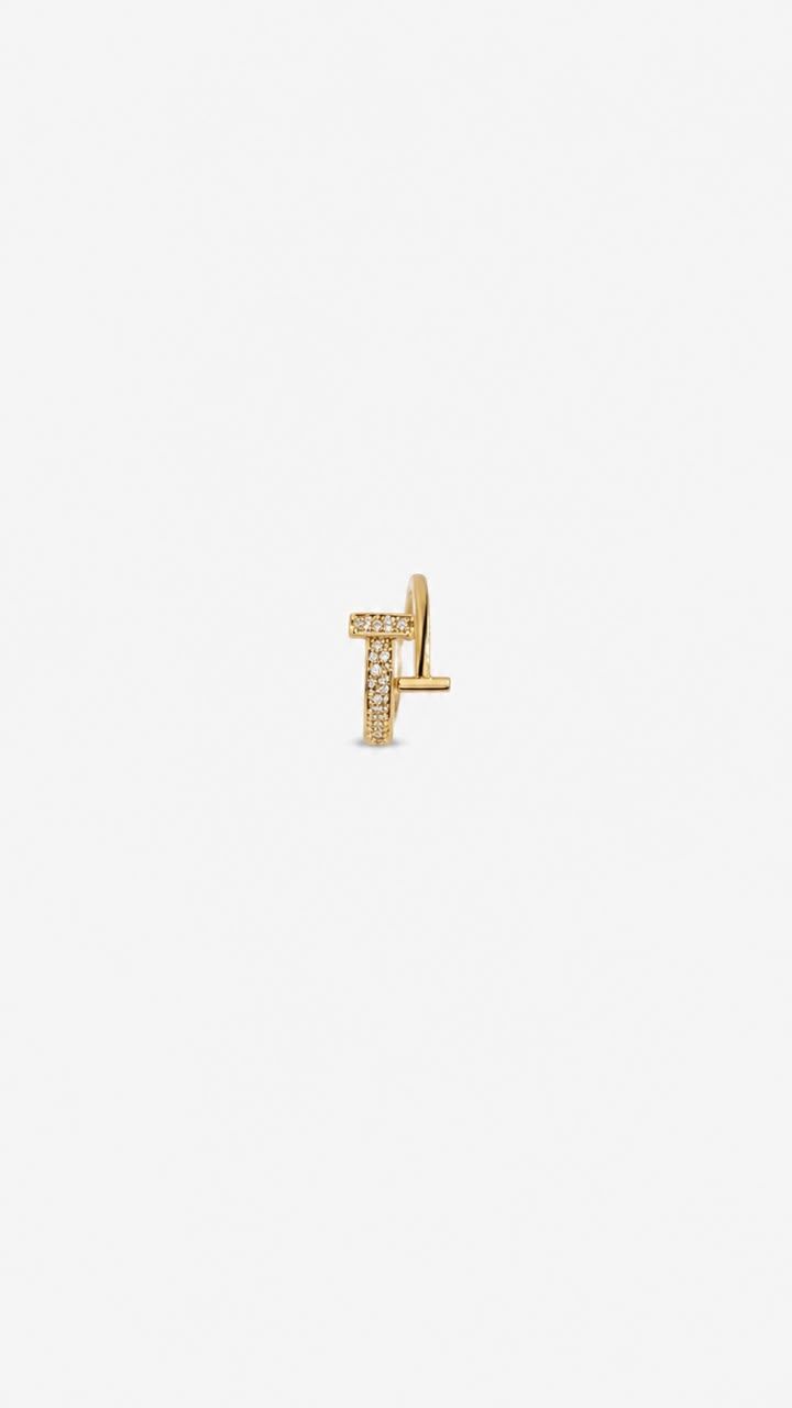 ring —  jewelry