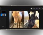 How to create a photo collage on your iPhone for free and with no ads