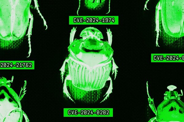 The AI Era Is Creating a Bug Hunting Arms Race