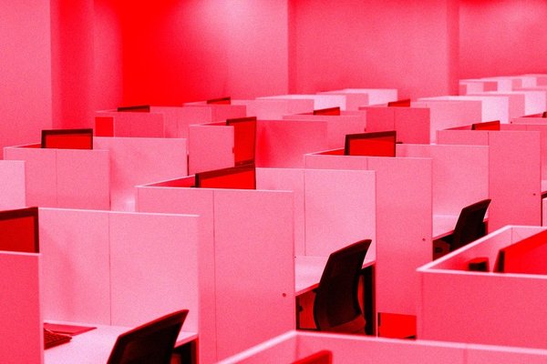 AI Really Is Eviscerating Entry-Level Jobs, New Data Shows