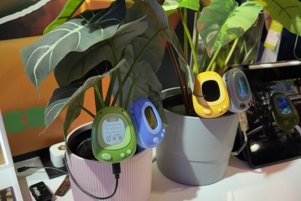 This cute AI sensor helps you care for your plants