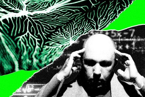 These Russian Mathematicians Taught AI Models How to Talk to Each Other Without Using Words
