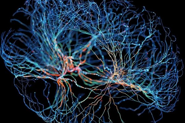 China Just Performed the Worlds First Implant of a Commercial Brain-Computer Interface