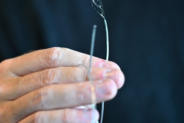 Neuralink and Brain-Computer Interface Startups Poised for Rapid Growth as Implants Double