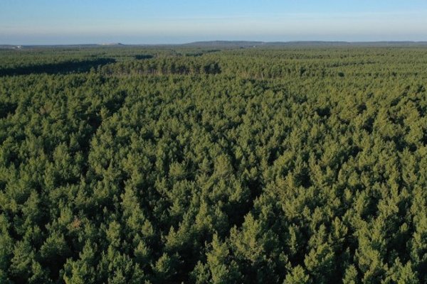A Crypto Company Thinks It Can Help Fight Climate Change