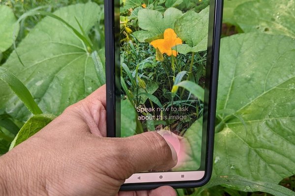 5 Google Lens tricks to level up your image search