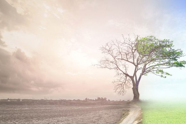 Generative AIs energy demands are accelerating the climate crisis top researcher warns of environmental impact of Googles new Search feature
