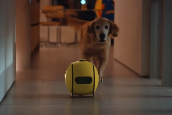 CES 2025 was more shoppable than conceptual