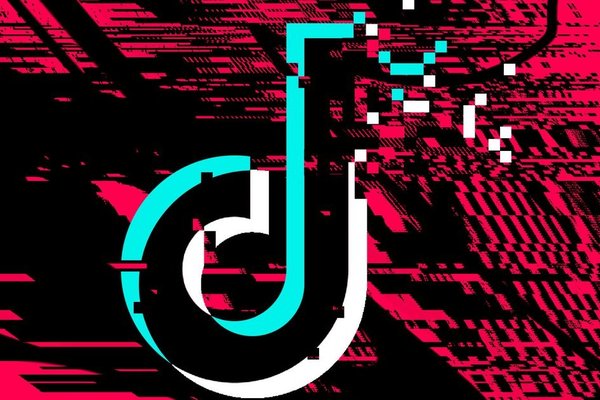 TikTok says it will go offline on Sunday if Biden doesnt intervene
